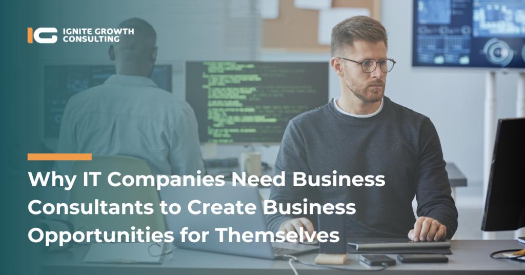Why IT Companies Need Business Consultants to Create Business Opportunities for Themselves